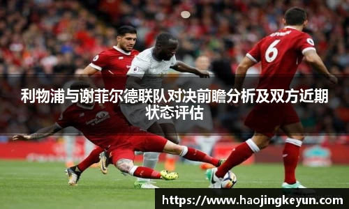 星空.综合体育官网