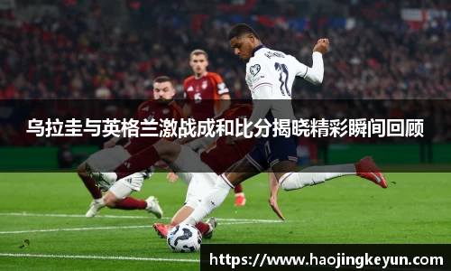 星空.综合体育官网