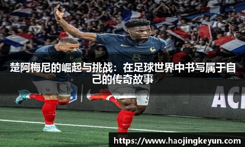 星空综合(中国)官方网站