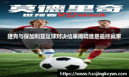 星空.综合体育官网