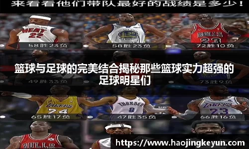 星空.综合体育官网