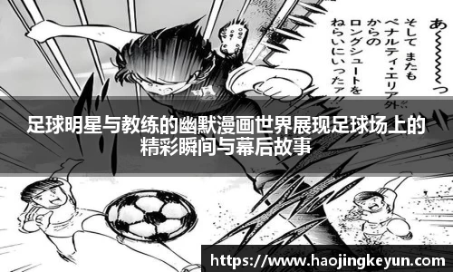 星空.综合体育(中国)官方网站