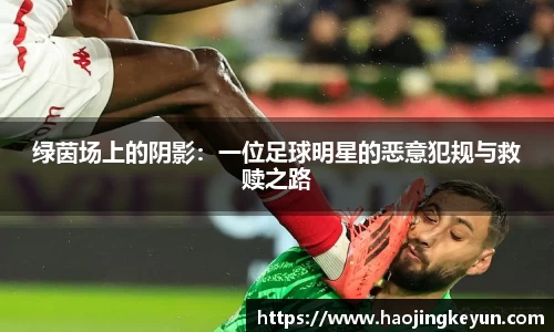 星空.综合体育官网