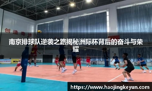 星空综合(中国)官方网站