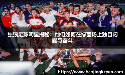 星空.综合体育(中国)官方网站